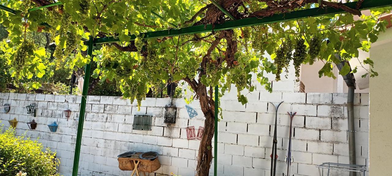 בית הארחה סרסדייה 	La Parra De Pepa מראה חיצוני תמונה